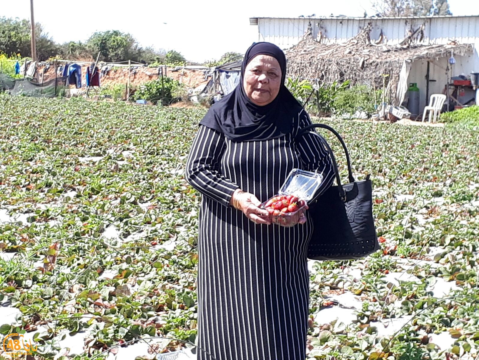 ab7bableaqsaa3 (5).jpg